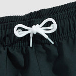 Men's  Ombre Color Vacation Board Shorts