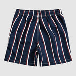 Men's Striped Double Layer Mesh Beach Swimming Shorts