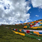 Buddha Stones Tibetan 5 Colors Windhorse Auspicious Outdoor 25 Pcs Prayer Flag