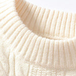 Striped Twist Jacquard Sweater