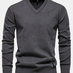 Long Sleeve V-Neck Sweater
