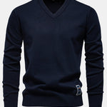 Long Sleeve V-Neck Sweater