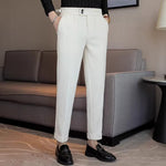 Chenille Naples Casual Straight-leg Suit Trousers