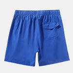 2 In 1 Drawstring Pocket Quick Dry Swim Shorts