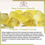 Buddha Stones Sitting Cat  Resin Gravel Pink Crystal Citrine White Crystal Lapis Lazuli Soothing Desktop Decoration