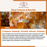Buddha Stones Butterfly Gourd Amethyst Citrine Labradorite Balance Bracelet