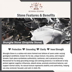 Buddha Stones Moon Star Round Design Authentic Shungite Stone Protection Necklace Pendant