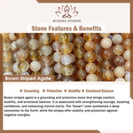 Buddha Stones 3pcs "Return to Stillness" White Fossil Elegant Bracelet Includes Gift Message Card