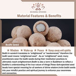 Buddha Stones Black Obsidian Bodhi Seed Yin Yang Nine-Character Mantra Mountain Ghosts Spend Money Strength Bracelet