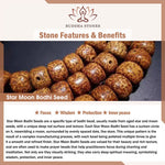 Buddha Stones Star Moon Bodhi Seed Fox Gourd Wisdom Tibetan Handmade 108 Bead Mala