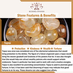 Buddha Stones 3pcs "Return to Stillness" White Fossil Elegant Bracelet Includes Gift Message Card