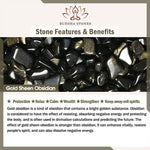 Buddha Stones Natural Silver Sheen Obsidian Red Tiger Eye Bead Success Bracelet