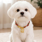 Buddha Stones Plaited Money Tree Fu Character Red String Luck Adjustable Cats Dogs Pet Collar