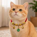 Buddha Stones Red String Fu Character Peace Buckle Strength Adjustable Cats Dogs Pet Collar