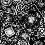 Buddha Stones Cotton Classic White Paisley Pattern Men's Short Sleeve Half Button Shirt