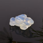 FREE Today: Wealth and Healing Natural Green Aventurine Clear Quartz Frog Crystal & Stone Decor