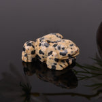 FREE Today: Wealth and Healing Natural Green Aventurine Clear Quartz Frog Crystal & Stone Decor