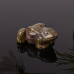 FREE Today: Wealth and Healing Natural Green Aventurine Clear Quartz Frog Crystal & Stone Decor