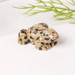 FREE Today: Wealth and Healing Natural Green Aventurine Clear Quartz Frog Crystal & Stone Decor