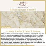 Buddha Stones 3pcs "Return to Stillness" White Fossil Elegant Bracelet Includes Gift Message Card