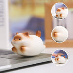 Buddha Stones Resin Cute Wobble Cat Happiness Cartoon Animal Decor