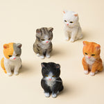 Buddha Stones Painted Resin Gloomy Kitten Family Mini Cat Cute Animal Decor
