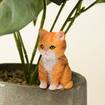Buddha Stones Painted Resin Gloomy Kitten Family Mini Cat Cute Animal Decor