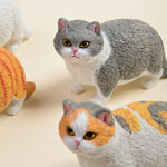 Buddha Stones Painted Resin Little Chubby Cat Cute Animal Decor