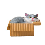 Buddha Stones Painted Sleeping Cat in Paper Box Resin Cute Animal Decor