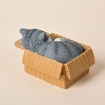 Buddha Stones Painted Sleeping Cat in Paper Box Resin Cute Animal Decor