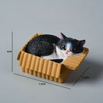 Buddha Stones Painted Sleeping Cat in Paper Box Resin Cute Animal Decor