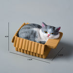 Buddha Stones Painted Sleeping Cat in Paper Box Resin Cute Animal Decor