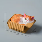 Buddha Stones Painted Sleeping Cat in Paper Box Resin Cute Animal Decor