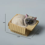 Buddha Stones Painted Sleeping Cat in Paper Box Resin Cute Animal Decor