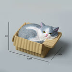Buddha Stones Painted Sleeping Cat in Paper Box Resin Cute Animal Decor