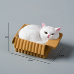 Buddha Stones Painted Sleeping Cat in Paper Box Resin Cute Animal Decor