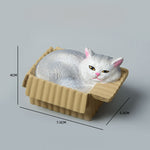 Buddha Stones Painted Sleeping Cat in Paper Box Resin Cute Animal Decor