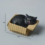 Buddha Stones Painted Sleeping Cat in Paper Box Resin Cute Animal Decor