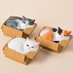 Buddha Stones Painted Sleeping Cat in Paper Box Resin Cute Animal Decor
