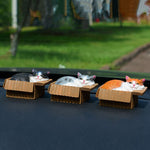Buddha Stones Painted Sleeping Cat in Paper Box Resin Cute Animal Decor