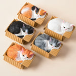 Buddha Stones Painted Sleeping Cat in Paper Box Resin Cute Animal Decor