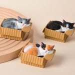 Buddha Stones Painted Sleeping Cat in Paper Box Resin Cute Animal Decor
