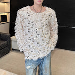 Sequined Crew Neck Pullover Sweater