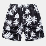 Regular Fit California Palm Tree Print Cotton T-Shirt & Palm Tree Print Swim Shorts