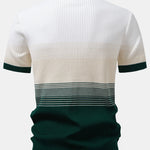 Striped Gradient Knitted Polo Shirt