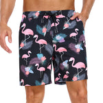 2 In 1 Tropical Flamingo Print Swim Shorts