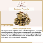 Buddha Stones Feng Shui Money Frog Statue Luck Wealth Decoration