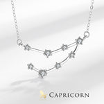 Buddha Stones 925 Sterling Silver 12 Constellations of the Zodiac Astrology Blessing Necklace Pendant