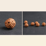 Buddha Stones Tibet Rudraksha Bodhi Seed PiXiu Copper Coin Wealth Luck Bracelet