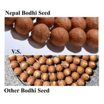 Buddha Stones 108 Mala Beads Nepal Bodhi Seed Luck Wealth Tassel Bracelet (Extra 30% Off | USE CODE: FS30)